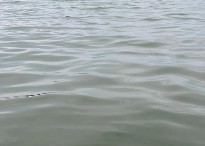 Dom Nyaralo Σπίτι διακοπών *